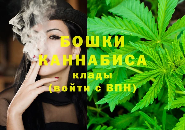 винт Горняк