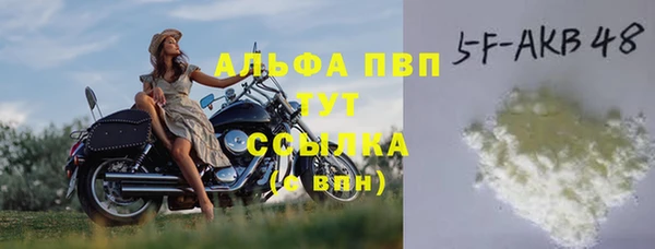 прущие грибы Волоколамск