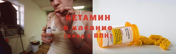 прущие грибы Волоколамск