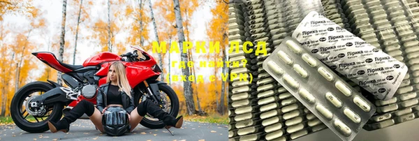 прущие грибы Волоколамск