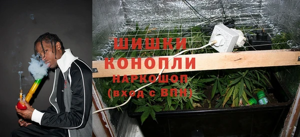 дмт Горно-Алтайск