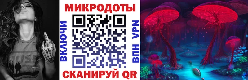 Псилоцибиновые грибы Psilocybine cubensis  Закаменск 
